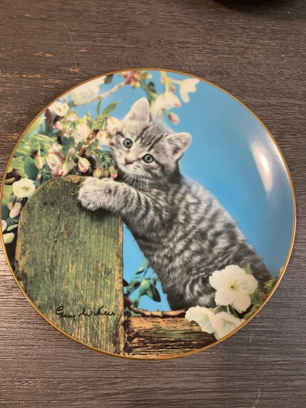 Gray Tabby Kitten Decorative Wall Plate